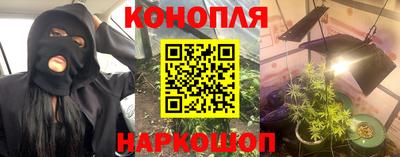 прущая мука Гатчина