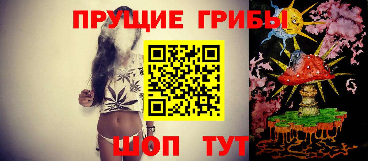 Псилоцибиновые грибы Magic Shrooms  Псилоцибиновые грибы Magic Shrooms  Чистополь  что такое наркотик  Вход с VPN 